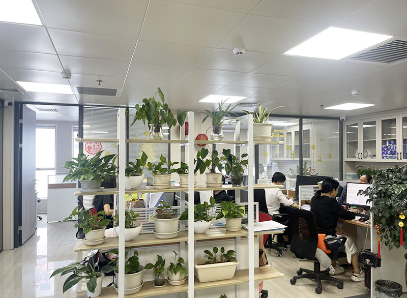 Office Environment
